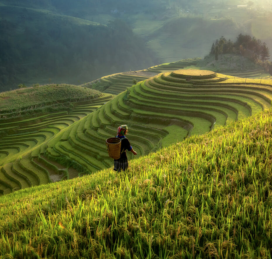 Viaggio su misura in Vietnam tra risaie terrazzate e natura tropicale