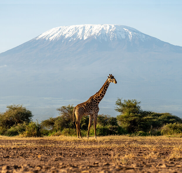Viaggio su misura in Africa con vista sul Monte Kilimangiaro