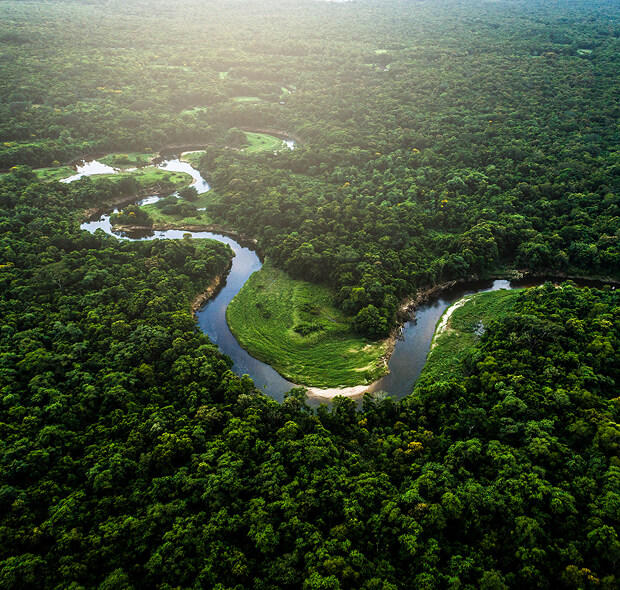 Viaggio su misura in Amazzonia con fiume e foresta visti dall’alto
