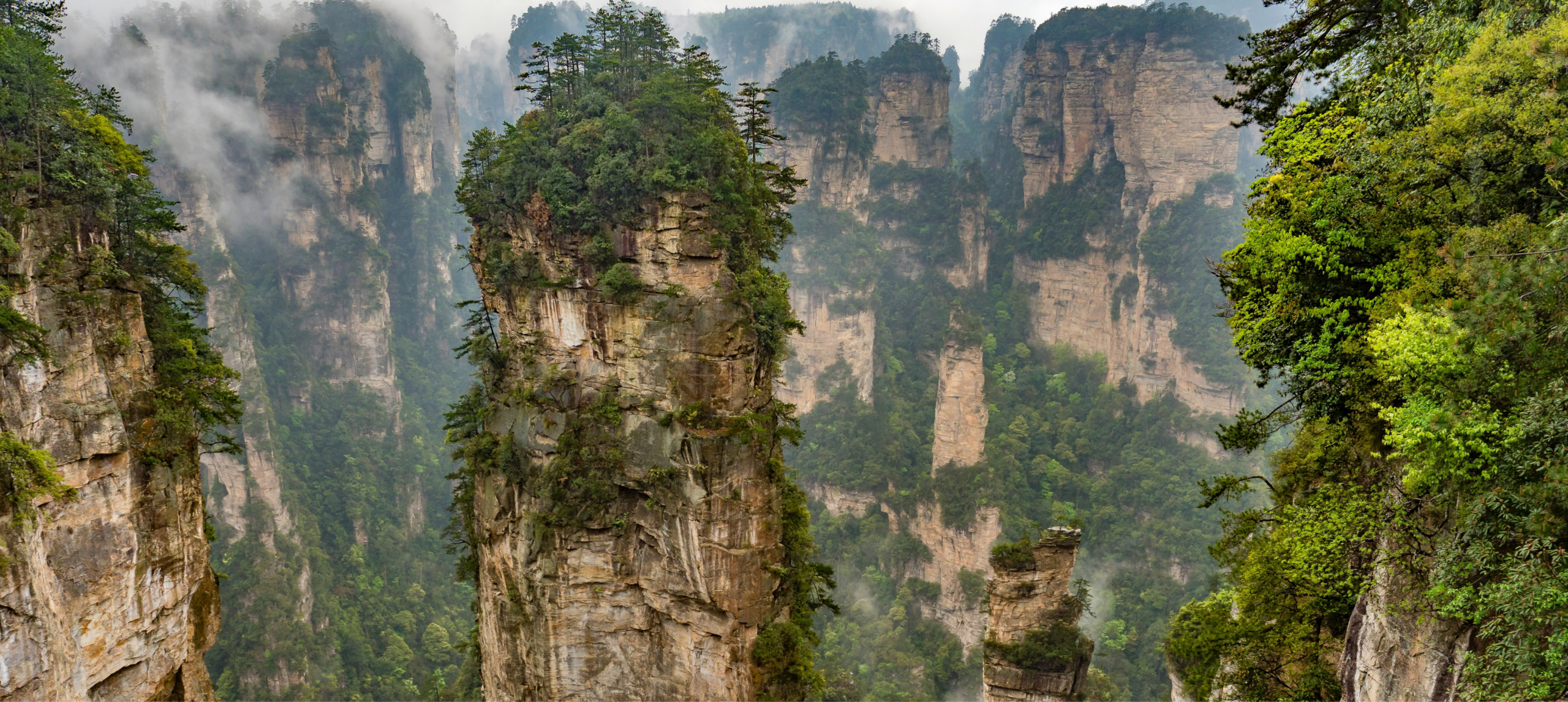 ParconaturalediZhangjiajie