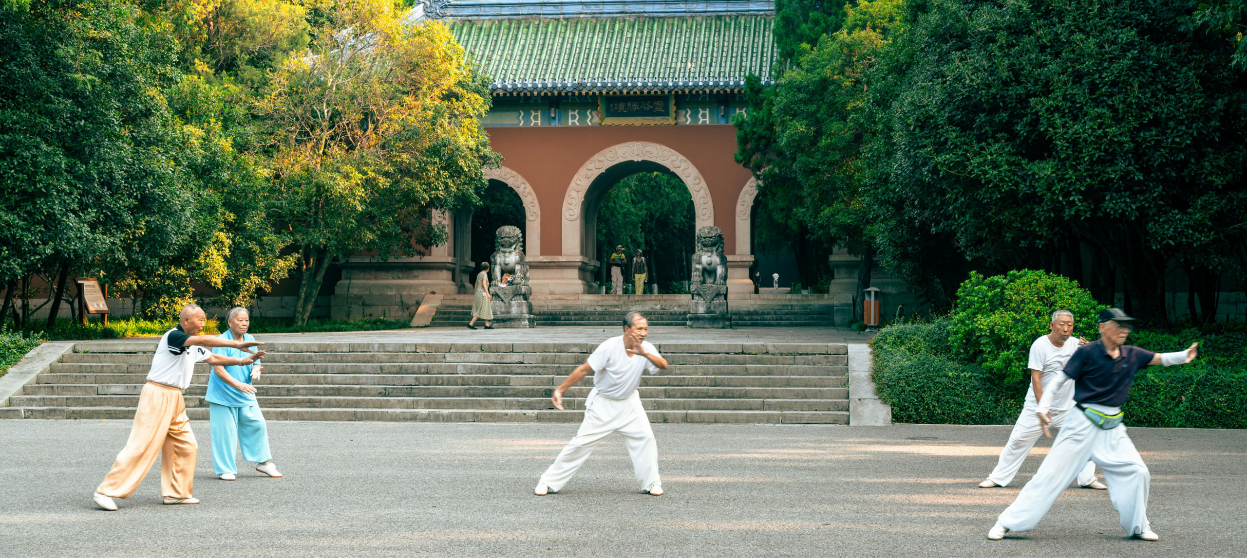 anzianicinesichepraticanoiltaichi