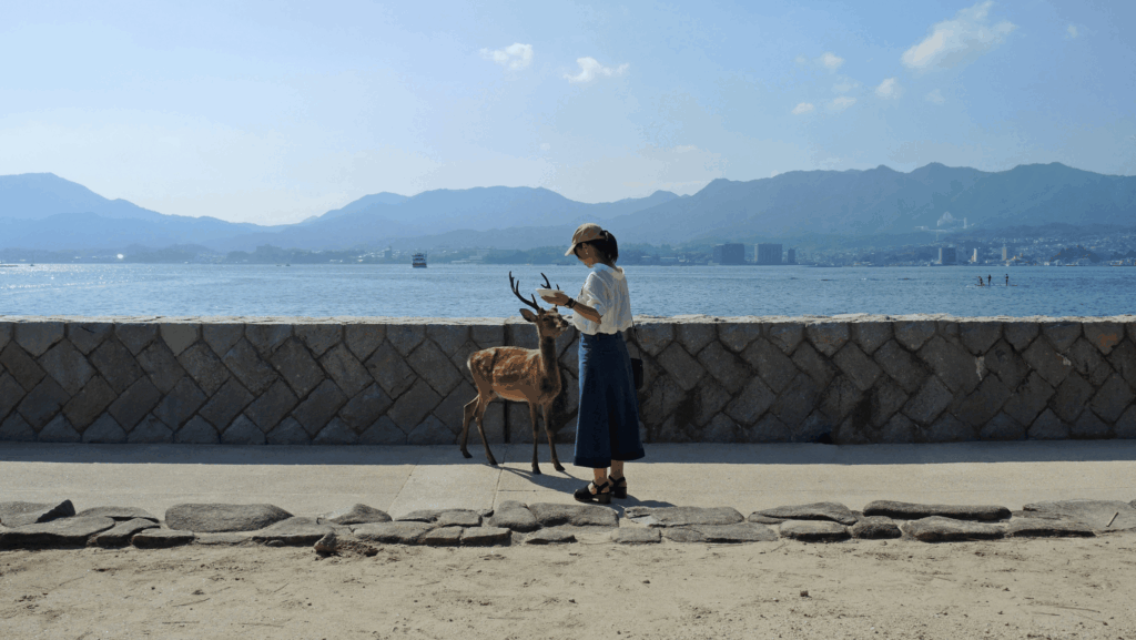 cervo dell'isola di Miyajima